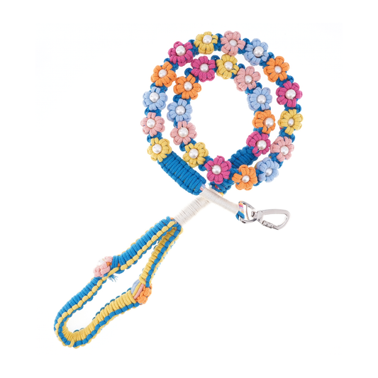🌈 Rainbow Melody – Handmade Colorful Cotton Braided Dog Leash