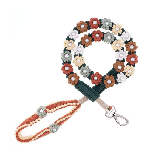 🌾 Rustic Meadow – Handmade Colorful Cotton Braided Dog Leash