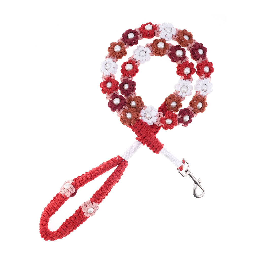 🌹 Rose Dusk – Handmade Colorful Cotton Braided Dog Leash