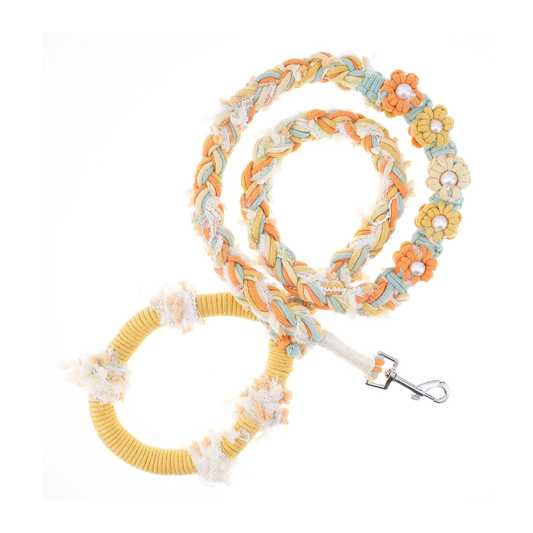 Sunny Daisy – Handmade Colorful Cotton Braided Dog Leash
