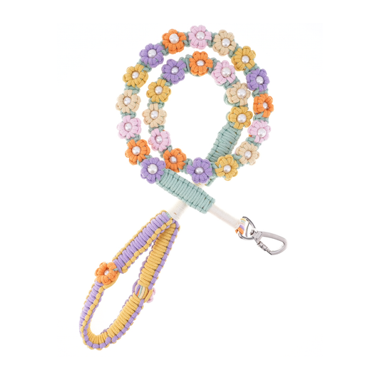 🎉 Carnival Dream – Handmade Colorful Cotton Braided Dog Leash
