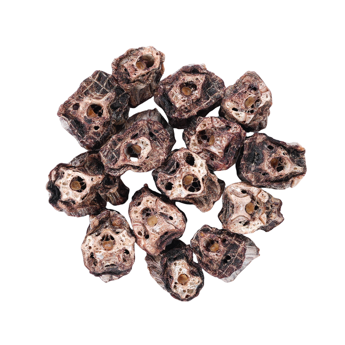 Luvyaak Ostrich Neck air-dried dog chews
